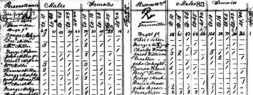 A historic census schedule.