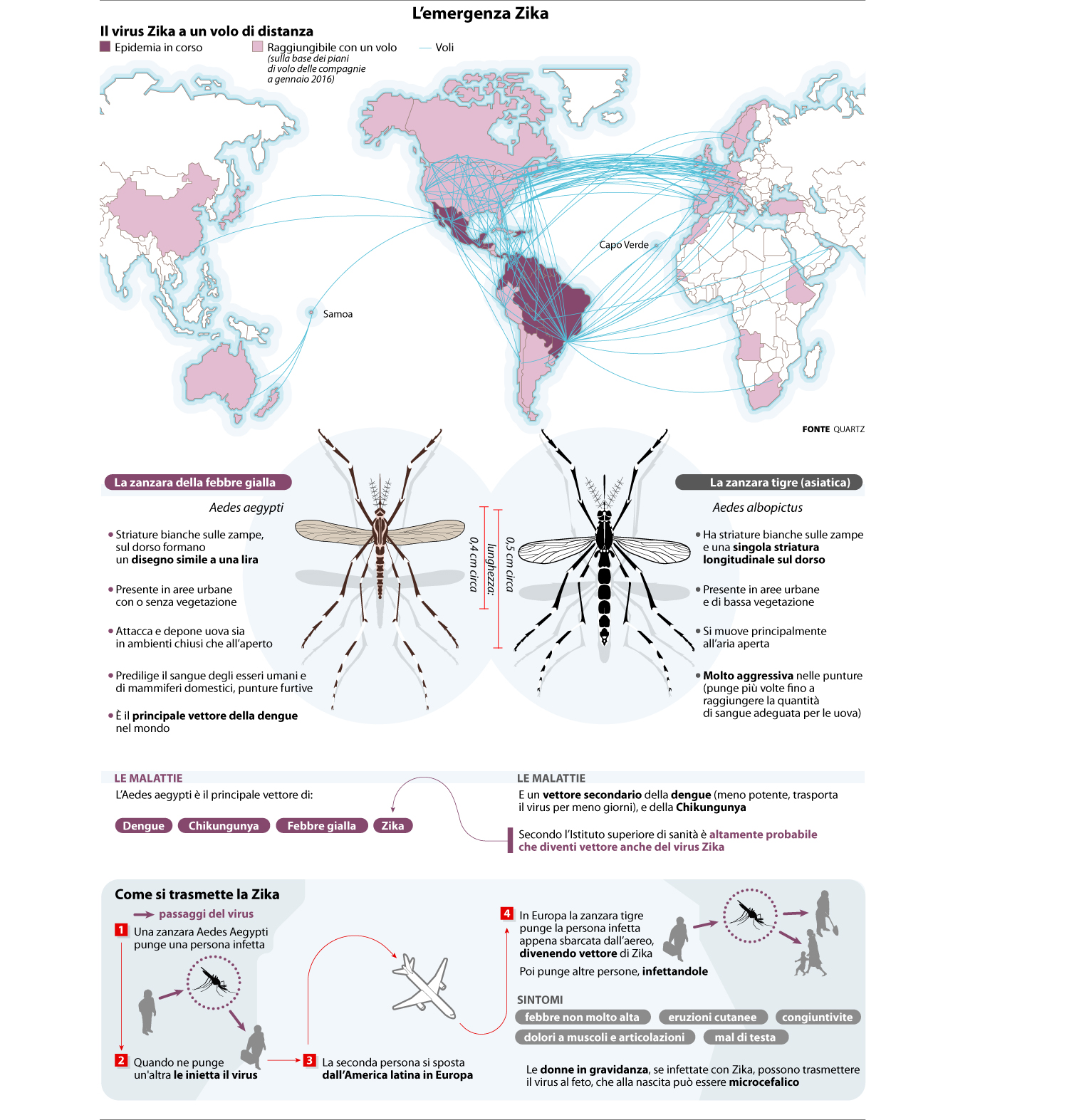 Zikavirusthreatandtransmission Storybench