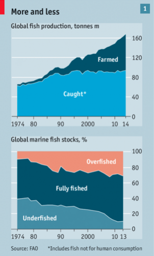 Six visualizations that explore the extent of overfishing around the world  - Storybench