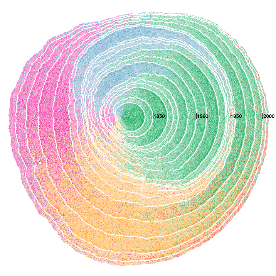 Data visualization of tree rings through the years