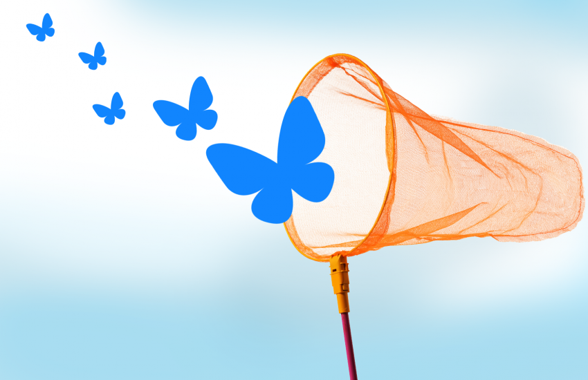 Image shows butterfly net chasing Bluesky's butterfly logo
