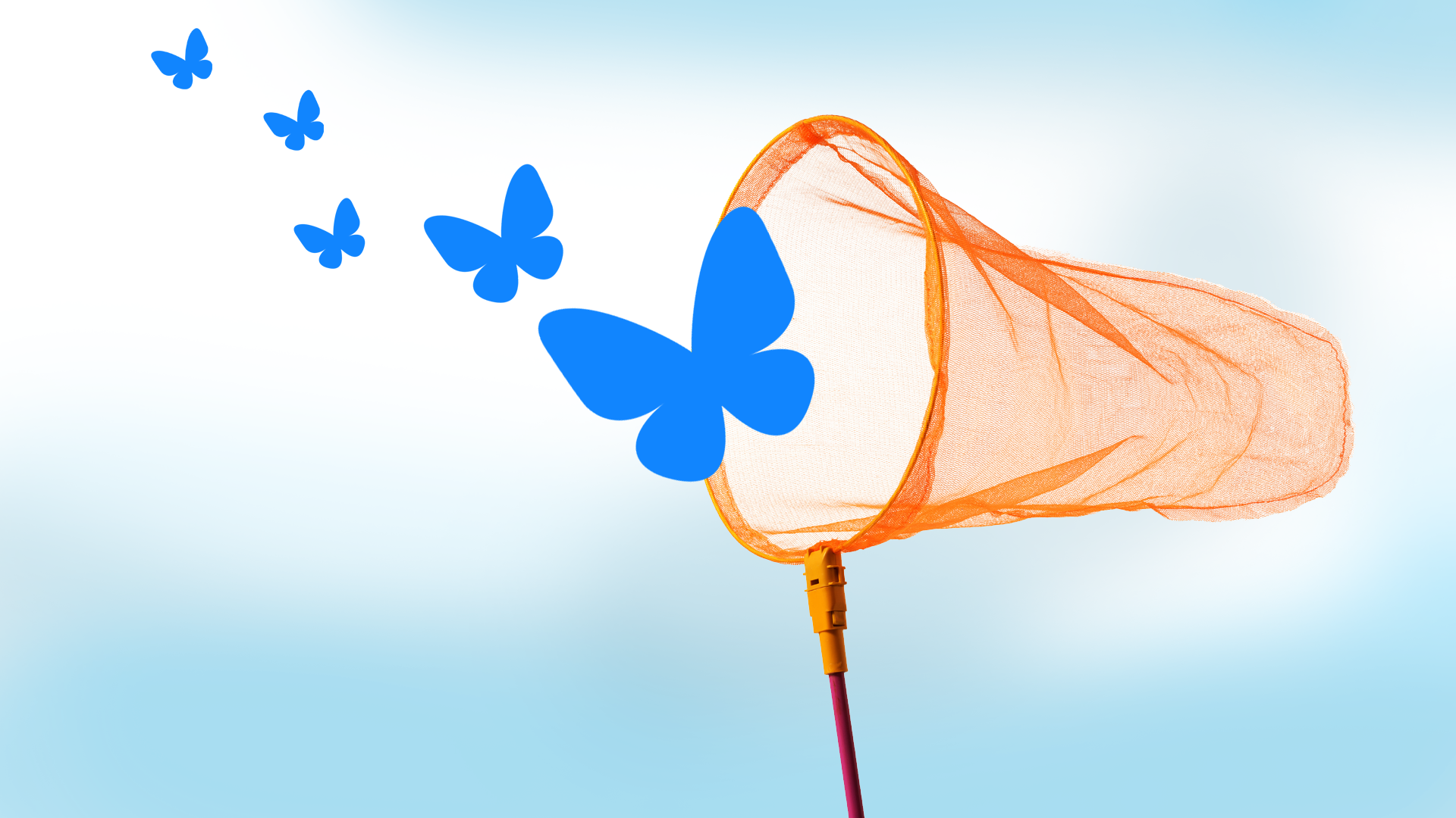 Image shows butterfly net chasing Bluesky's butterfly logo